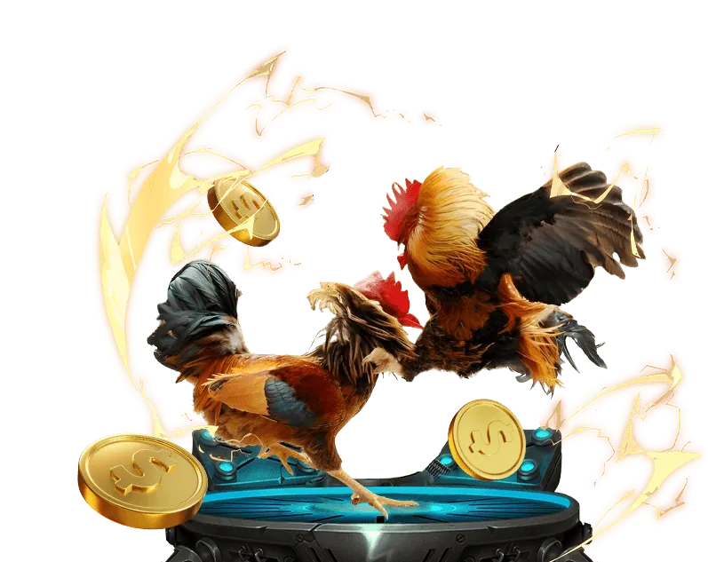 Tầm nhìn hi88 bets